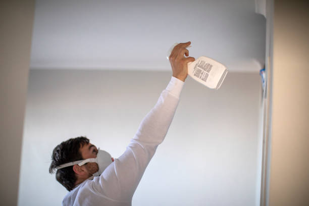 Best Mold Testing  in Wellton, AZ